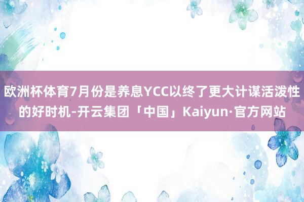 欧洲杯体育7月份是养息YCC以终了更大计谋活泼性的好时机-开云集团「中国」Kaiyun·官方网站