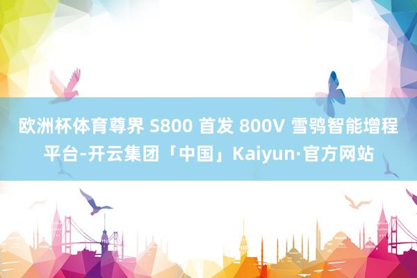 欧洲杯体育尊界 S800 首发 800V 雪鸮智能增程平台-开云集团「中国」Kaiyun·官方网站