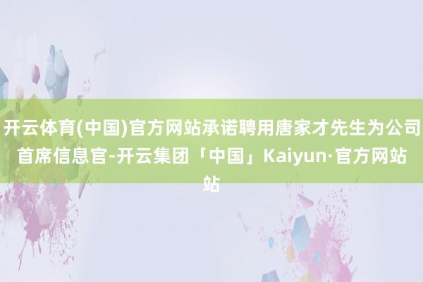 开云体育(中国)官方网站承诺聘用唐家才先生为公司首席信息官-开云集团「中国」Kaiyun·官方网站