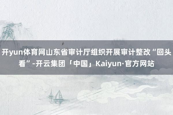 开yun体育网山东省审计厅组织开展审计整改“回头看”-开云集团「中国」Kaiyun·官方网站