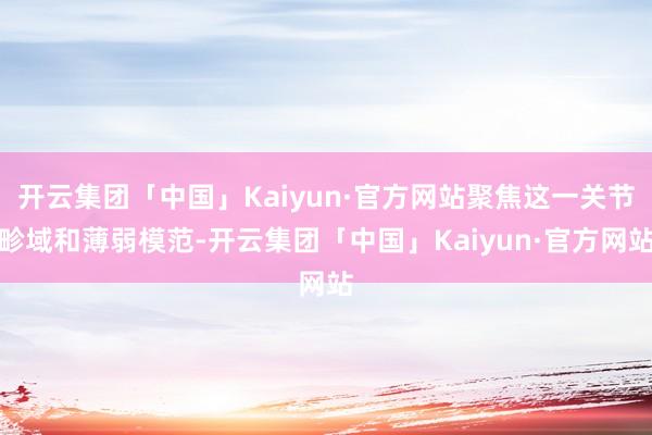 开云集团「中国」Kaiyun·官方网站聚焦这一关节畛域和薄弱模范-开云集团「中国」Kaiyun·官方网站