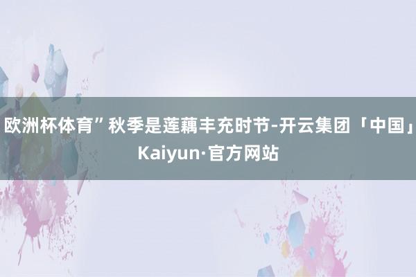 欧洲杯体育”秋季是莲藕丰充时节-开云集团「中国」Kaiyun·官方网站