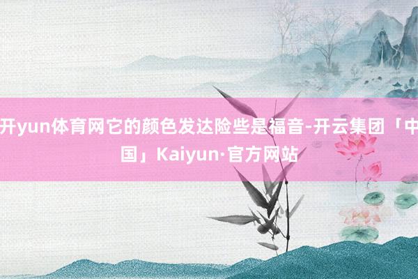开yun体育网它的颜色发达险些是福音-开云集团「中国」Kaiyun·官方网站