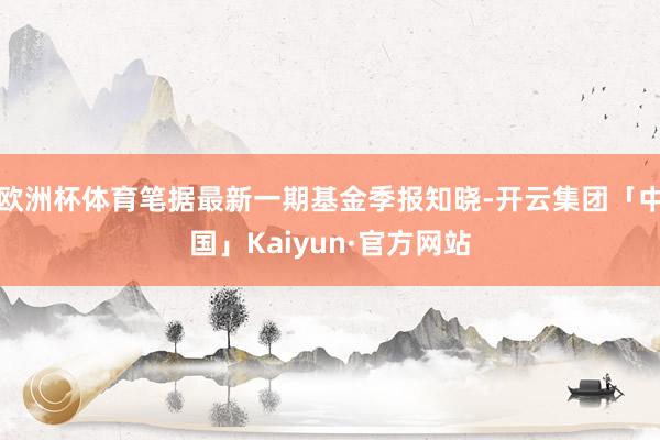 欧洲杯体育笔据最新一期基金季报知晓-开云集团「中国」Kaiyun·官方网站
