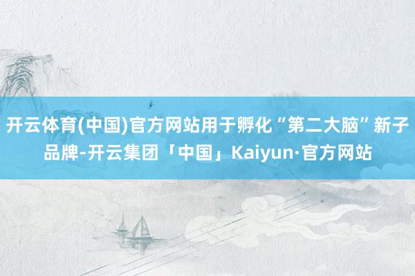 开云体育(中国)官方网站用于孵化“第二大脑”新子品牌-开云集团「中国」Kaiyun·官方网站