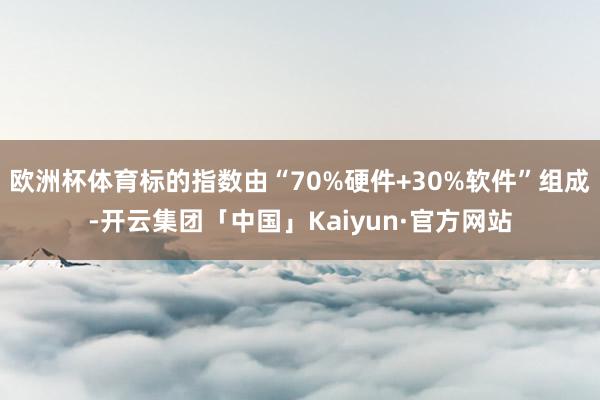 欧洲杯体育标的指数由“70%硬件+30%软件”组成-开云集团「中国」Kaiyun·官方网站