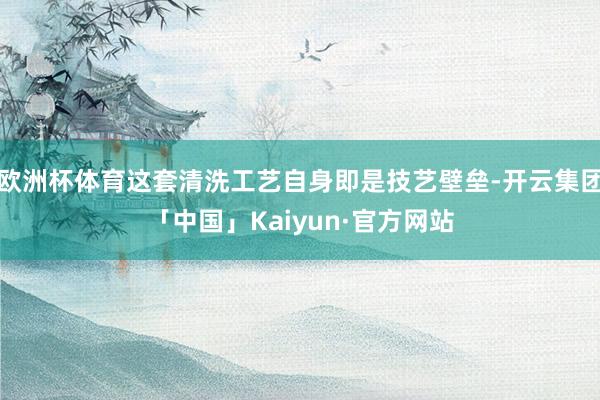 欧洲杯体育这套清洗工艺自身即是技艺壁垒-开云集团「中国」Kaiyun·官方网站