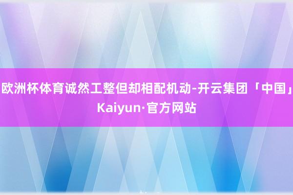 欧洲杯体育诚然工整但却相配机动-开云集团「中国」Kaiyun·官方网站